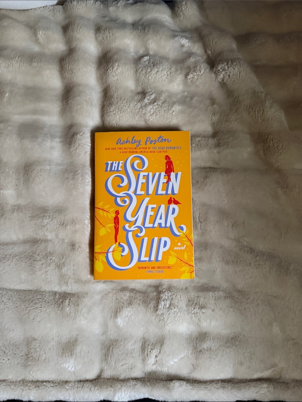 The Seven Year Slip - Ashley Poston